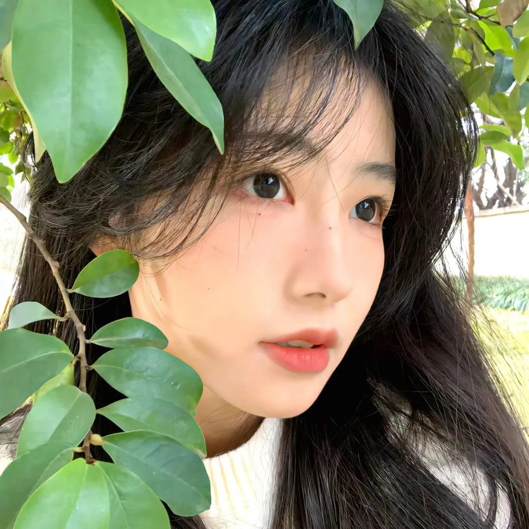 寻找佛罗斯特